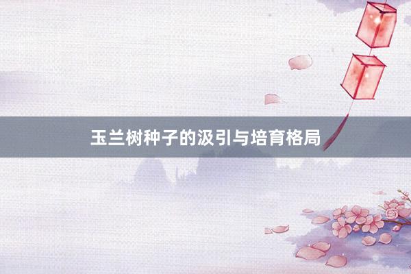 玉兰树种子的汲引与培育格局