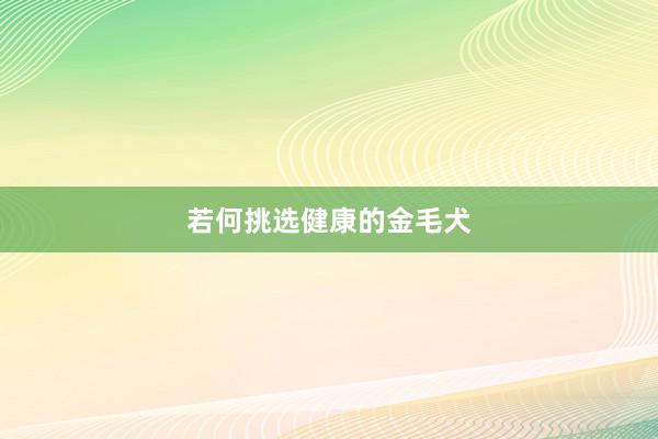 若何挑选健康的金毛犬