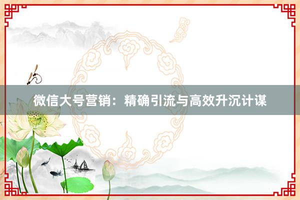 微信大号营销：精确引流与高效升沉计谋