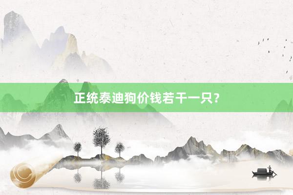 正统泰迪狗价钱若干一只？